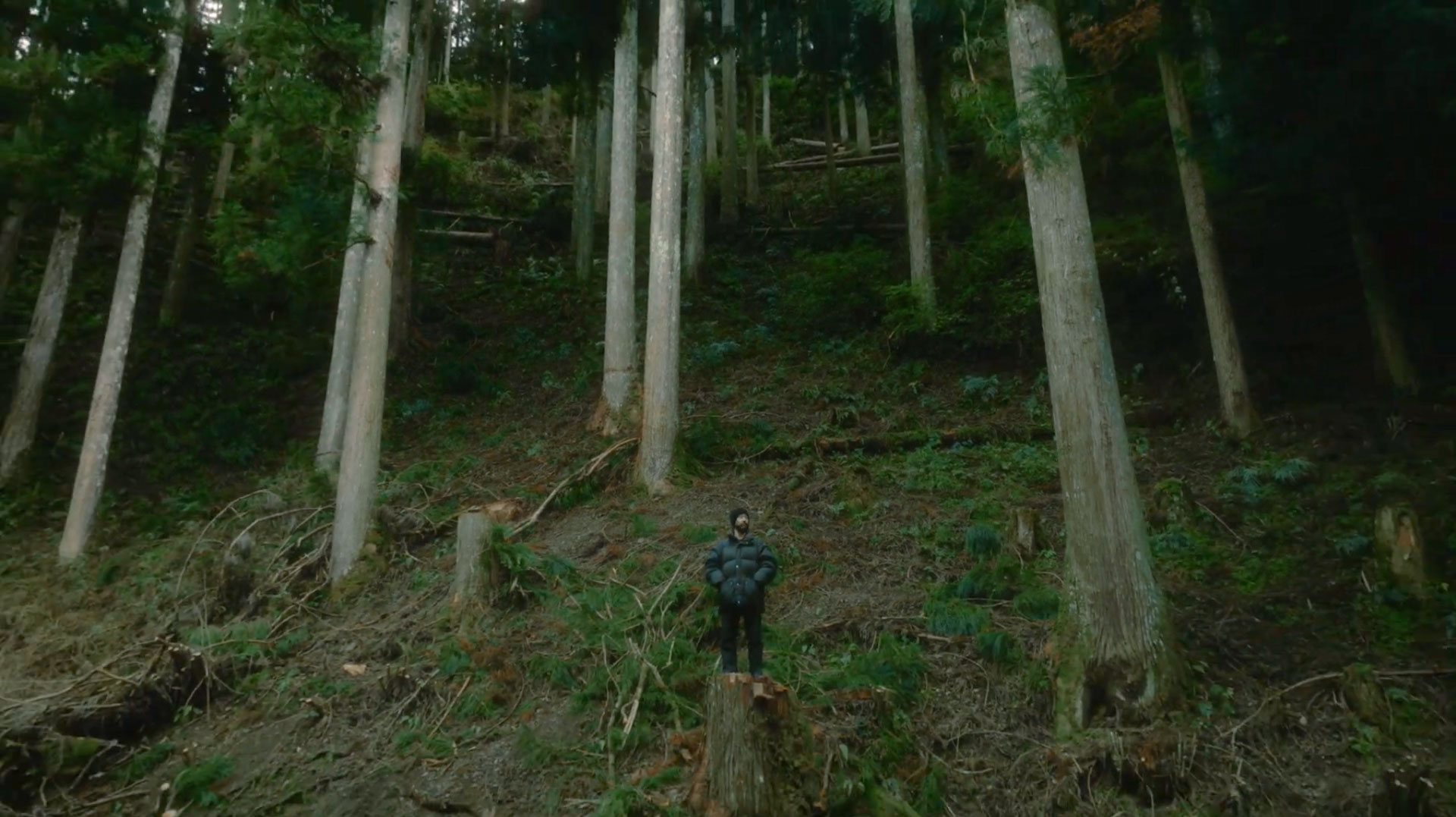 GINZA SIX 「A TREE」篇